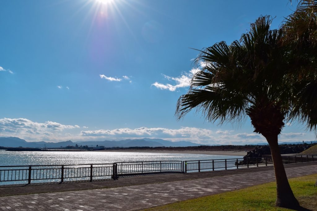 🏞️ 미야즈 해변 공원 (미야즈카이유코엔) 이미지 7